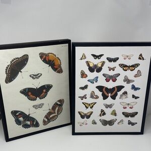 Framed Butterfly Wall Art Pair - vintage Canvas Naturalist Butterflies